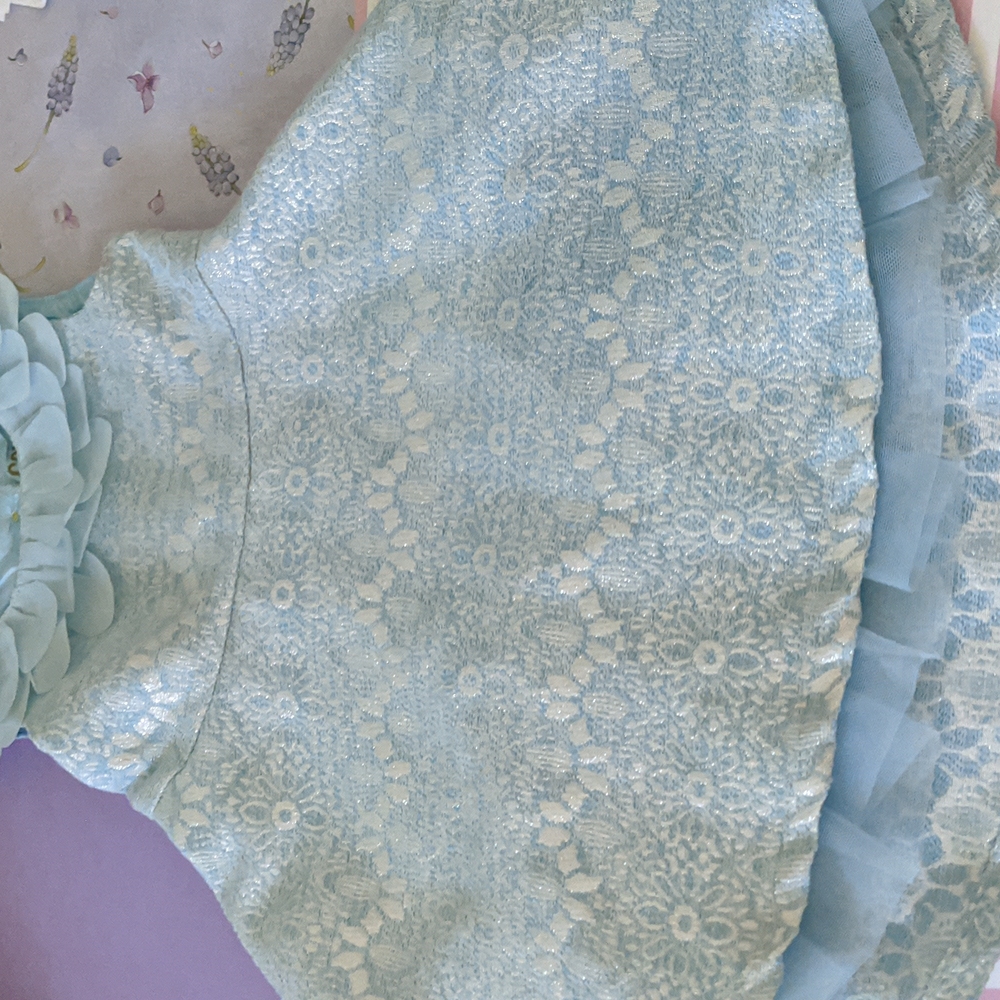 Genuine Oshkosh kid's fancy 18M blue dress